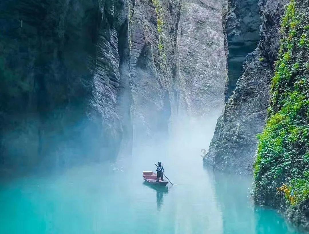 动物狂欢夜
