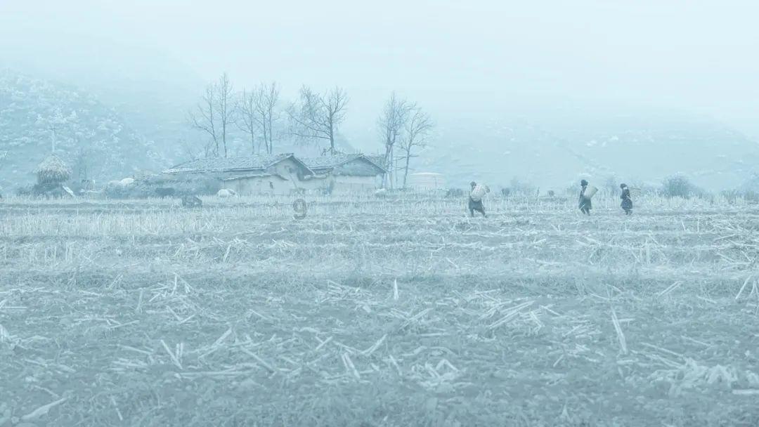 贵州多地迎2024年初雪
